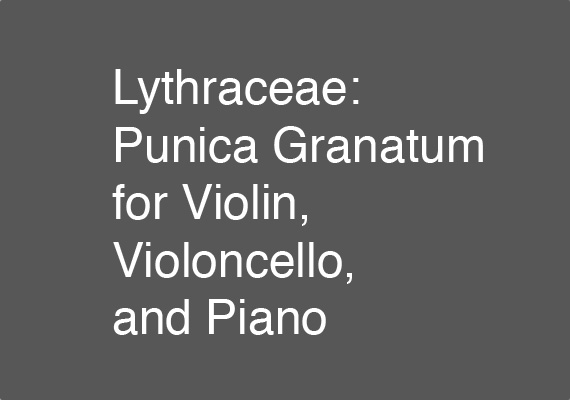 The 12 July 2018 performance of <I>Lythraceae: Punica Granatum</I> at the Valencia International Performance Academy and Festival